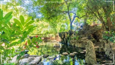 Jardim Japonês em Caldas Novas