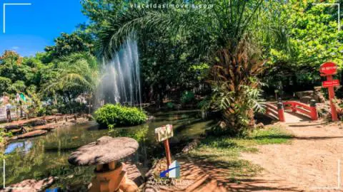 Jardim Japonês em Caldas Novas