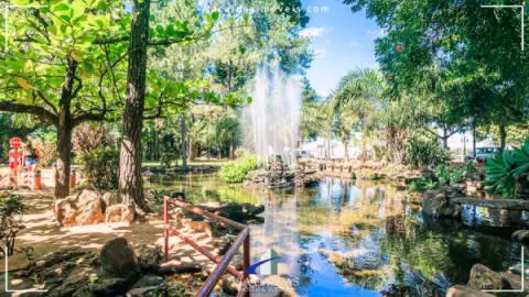 Jardim Japonês em Caldas Novas