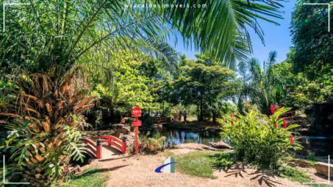 Jardim Japonês em Caldas Novas