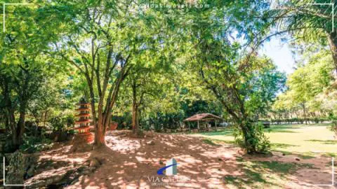 Jardim Japonês em Caldas Novas