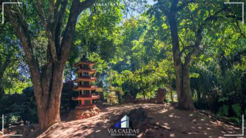 Jardim Japonês em Caldas Novas