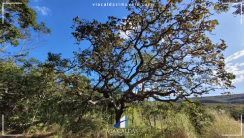 Parque Estadual da Serra de Caldas Novas