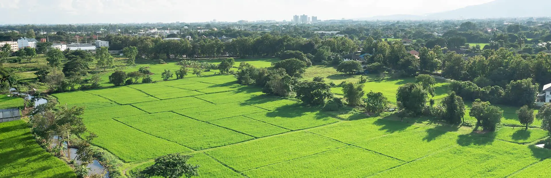 Fazendas a venda na região de Caldas Novas